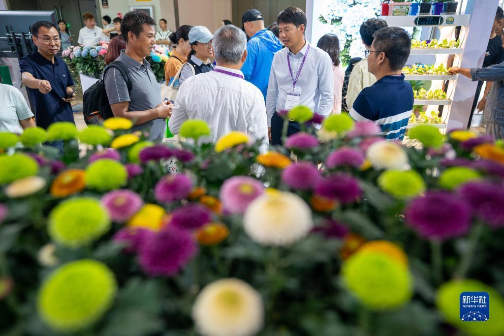 网投实体平台